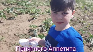 Стейки на углях. Вкуснейший стейк по простому рецепту.