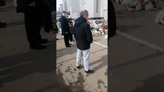 Крокус сегодня