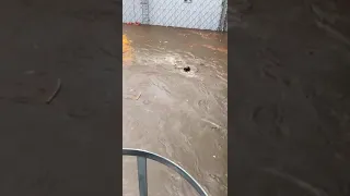 Jeddah flood | flood in Saudi Arabia | Saudi Arabia become a vast ocean.