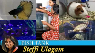 Fish Tank setup in Tamil | Aquarium Setup in Tamil | Pet store tour in Tamil