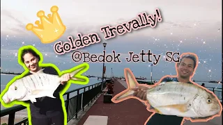 BEDOK JETTY MONSTER GOLDEN TREVALLY/HIGANTENG TALAKITOK   #fishing #bigfish #ikan #saltwaterfishing