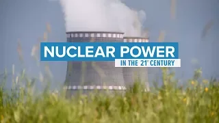 Nuclear Power in the 21st Century