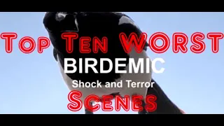 Top 10 WORST Scenes from Birdemic Shock and Terror - Top Ten Tuesdays on Movie Gods