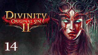 Прохождение Divinity original sin 2 на русском | Акт 2 | Часть 14