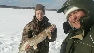 ЩУКА ЧУТЬ НЕ ОБРЕЗАЛА ЛЕСКУ!Зимняя рыбалка на Воткинском Водохранилище на Судака и Окуня.Р.Кама.