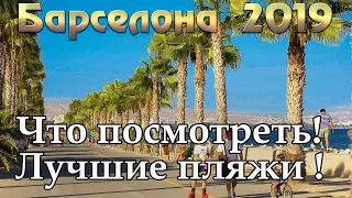 Барселона 2019 | Каталония | Салоу | Таррагона | Калелья | Бланес | Мальграт де Мар | Ллорет