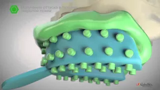 Одиночные реставрации с винтовой фиксацией l Alpha-Bio Tec