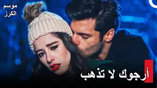 مع أويكو وأيار نحو العشق #74 - موسم الكرز