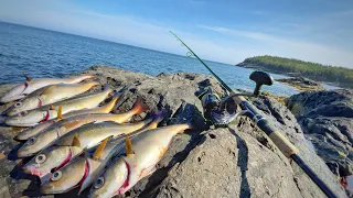 Catch and Cook off Massive Maine Cliffs! Fishing Acadia National Park!