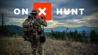 Basics of Hunting Washington (Beginner Walkthrough) | 2021 Big Game Edition