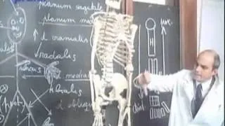 anatomické pojmy jakk básníci přicházejí o iluze