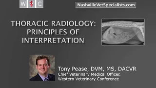 Thoracic Radiology: Principles of Interpretation
