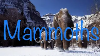 My Tribute to Mammoths and Asian Elephants