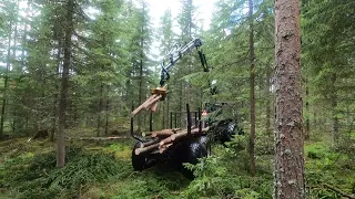 Aliarvostettu tapa korjata puuta / Valmet 6400