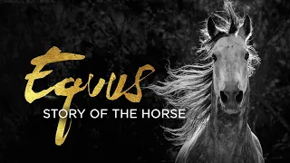 Equus | Story of the Horse | Origins