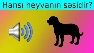 Səsin Hansı Heyvana Ait Olduğunu Tapmağa Çalış - 2023 Hayvan Sesleri Bulmaca