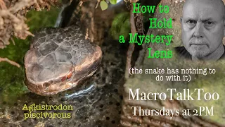 How to hold a mystery lens - Macro Talk Too #60 - Allan Walls Photography, September 14, 2023