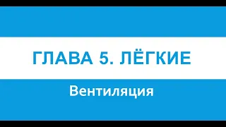 Физиология. Глава 5. Лёгкие. Вентиляция