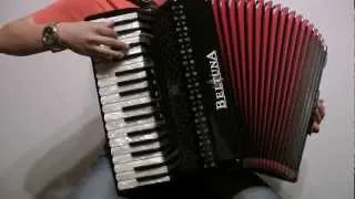 Stereo Love - Edward Maya & Via Jigulina | Accordion Cover by Stefan Bauer