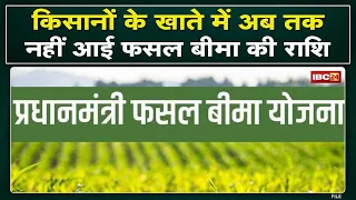 Pradhan Mantri Fasal Bima Yojana : बीमा की राशि को लेकर परेशान किसान | अब तक खाते में नहीं आए पैसे