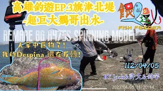 高雄釣遊EP.3旗津北堤超巨大鸚哥出水！人家中巨物了我還在幹嘛？只能錄影🤣#旗津釣魚#磯釣#鸚哥魚#全遊動