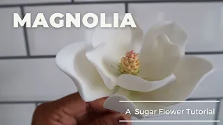 How To Make A  Magnolia Gum Paste Flower