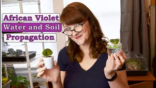 African Violet Soil and Water Propagation Project from a Leaf Part 1