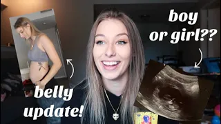 im pregnant AGAIN + gender reveal | maddie welborn
