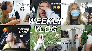 WEEKLY VLOG | NEW GYM?! | FREYA GOT A PUPPY! | HAIR APPOINTMENT | HOUSE SHOPPING | Conagh Kathleen
