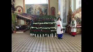 Зміна вартових біля гробу Господнього. с. Розвадів