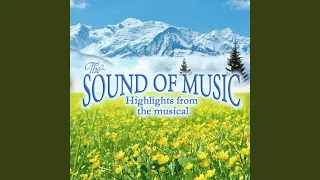 My Favourite Things (Instrumental Version) (From "The Sound of Music")