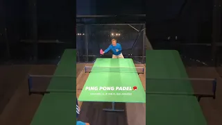 PING PONG PADEL 🎾🏓