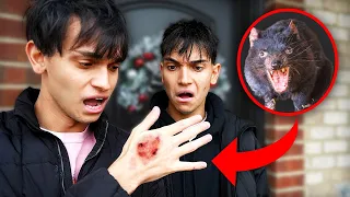 A Rat ATTACKED Me!