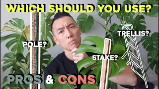 How to use a stake, moss pole & trellis for your Monstera / indoor plants + Pros & Cons