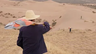 Generations of farmers turn desert into green landscape in NW China