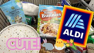 Don't Miss these Spectacular Spring Finds!  Weekly ALDI Grocery Haul March 2024