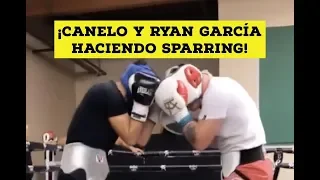 ¡Canelo y Ryan García haciendo sparring! #CaneloKovalev #GarciaDuno