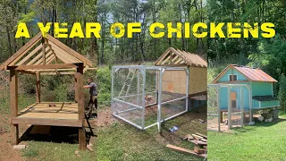 A Year Of Chickens - Chicks, Coop Build, Eggs