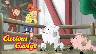 Curious George 🐵 George's Farm Adventure 🐵 Kids Cartoon 🐵 Kids Movies