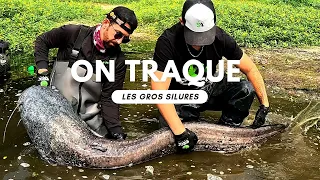 ON TRAQUE LES GROS SILURES | TOUCHE EN DIRECT AU FLOTTEUR