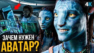 Почему "Аватар 2" так долго снимают? Свежие подробности будущего фильма.