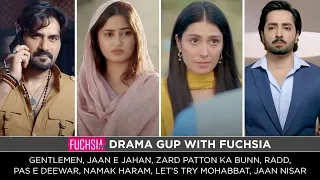 Jaan e Jahan | Gentleman | Zard Patton Ka Bunn | Jaan Nisar | Radd | NH | LTM | PD | Drama Gup