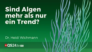 Spirulina, Chlorella, Astaxanthin: Ein Hype? Was steckt dahinter? | Dr. Heidi Wichmann | QS24