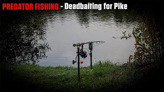 Deadbaiting for Pike on Cotswold Gravel Pit - CRAZY Action!