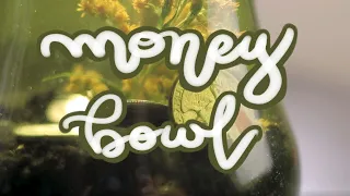 Prosperity and Money Bowl | Spellwork