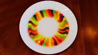 SKITTLES + WATER = Fun Science Experiment