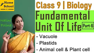 Fundamental Unit Of Life Class 9 biology  Part-6