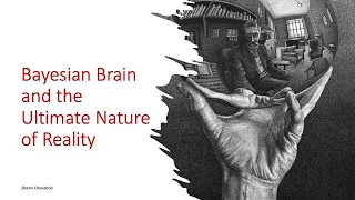 Bayesian Brain and the Ultimate Nature of Reality