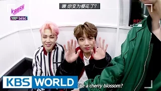 All About Music Bank! - BTS, TWICE, Red Velvet [KBS World Magazine K-RUSH / 2017.03.17]