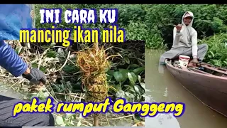 Cara mudah mengumpulkan ikan nila dan ikan tawes dengan Ganggeng
